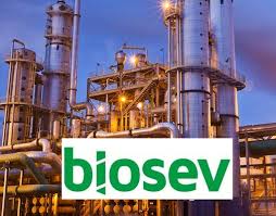 Biosev (BSEV3) negociação possível venda para Raízen Energia