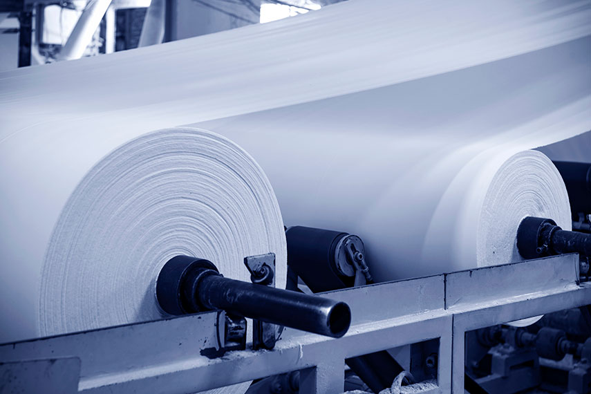 Empresas do segmento de papel e celulose são impactadas pela crise ambiental