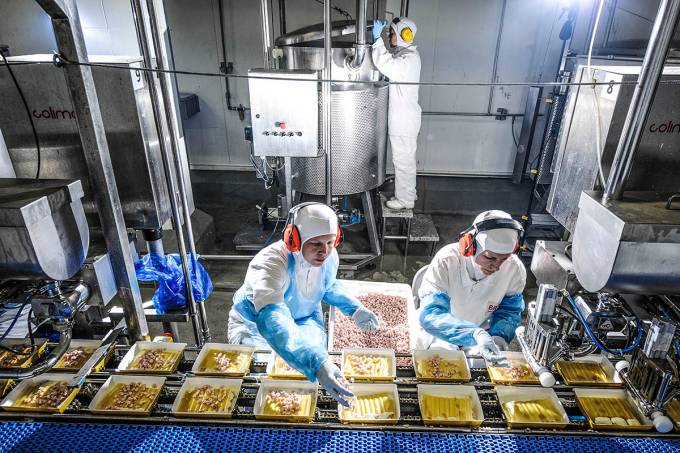 Exportação de carne de frango sobe 6,5%